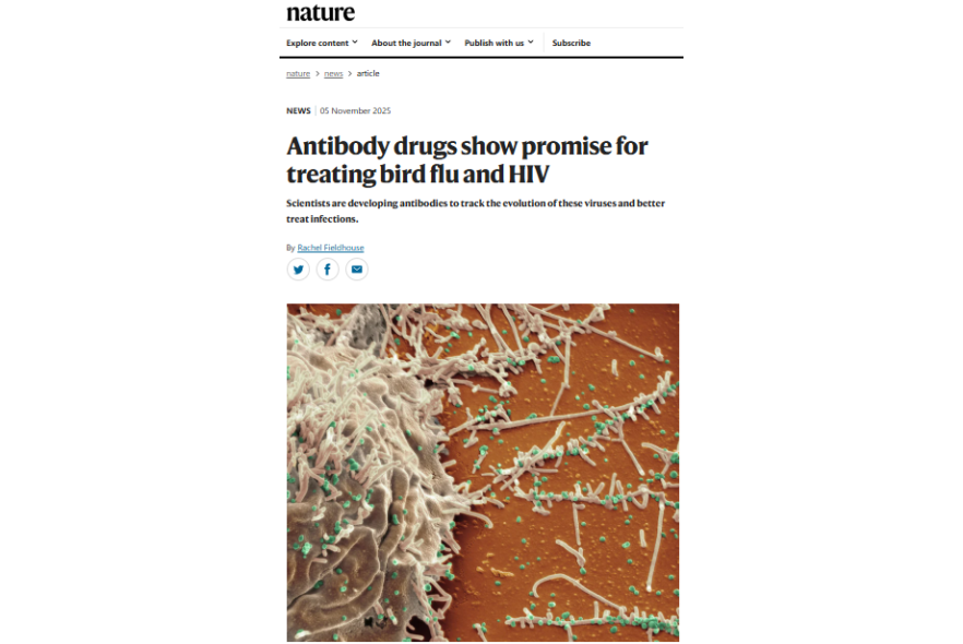 Screenshot_2025-11-17_165336